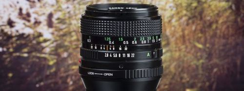 Vintage lenses on mirrorless cameras